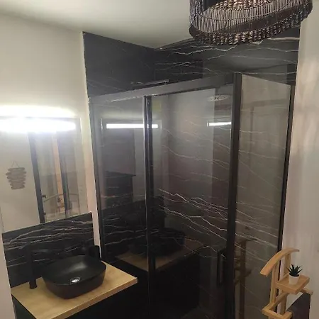 Escapade A Blagnac, T2, Balneo,jardin,parking,tram Blagnac